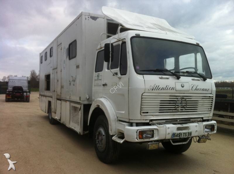 Camion chevaux occasion mercedes #6
