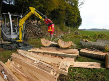 Lasco Log splitter