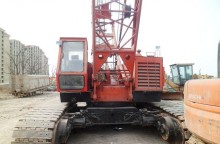 grue sur chenilles occasion