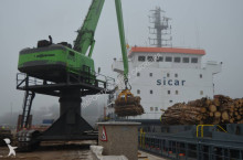 Grue portuaire occasion
