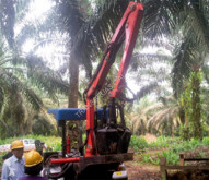 Fassi auxiliary crane
