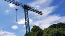 grue à tour occasion