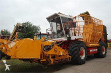 Kleine Cultivation of beet
