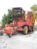 Barigelli Bifila Europa