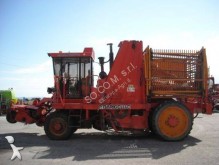 Barigelli Cultivation of beet