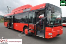 autobus MAN A 20 CNG/Erdgas/530/Lions City/315/2x vorhanden