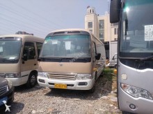 midibus Toyota