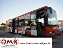 Setra S 315 NF / UL / 530 / 4416