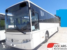 Mercedes Intouro