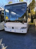 Mercedes Intouro