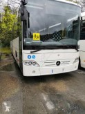 Mercedes Intouro