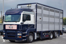 camion van à chevaux MAN