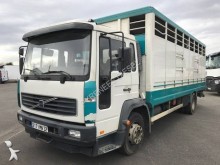 camion trasporto bestiame Volvo