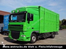 camion van per trasporto di cavalli DAF