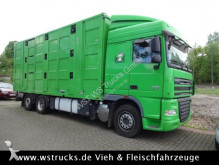camion van per trasporto di cavalli DAF