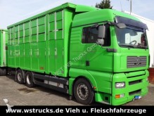 camion van à chevaux MAN