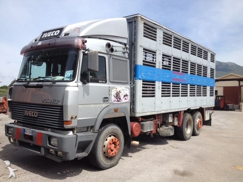 Camion Iveco Trasporto Bestiame Eurostar 190E42 Usato - N°2006928