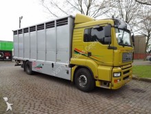 camion van per trasporto di cavalli usato