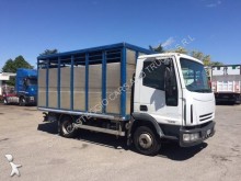 camión para ganado bovino Iveco