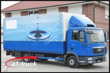 camion savoyarde MAN