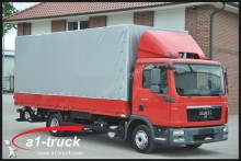 camion savoyarde MAN