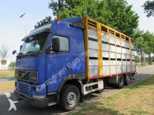 camion trasporto bestiame Volvo