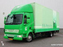 camion furgone DAF