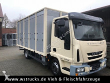 used horse truck