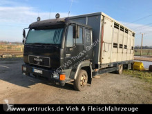 MAN horse truck