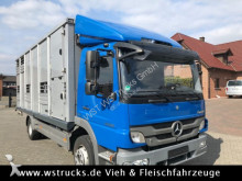 used horse truck