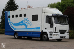 camion van per trasporto di cavalli Iveco