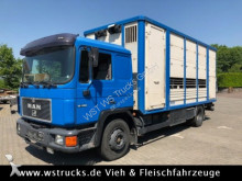 used horse truck