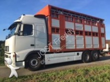 Volvo cattle truck
