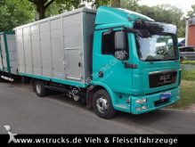 MAN Pferdetransporter