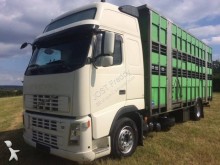 camion bétaillère bovins Volvo