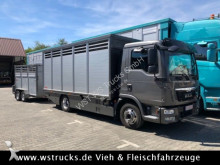 used horse truck