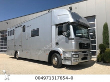 MAN Pferdetransporter