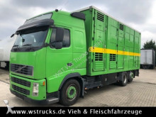 Volvo horse truck