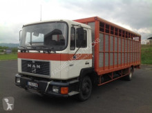 MAN cattle truck
