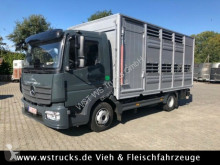 used livestock truck