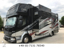 DAF Pferdetransporter