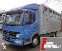 Mercedes Atego 818 truck