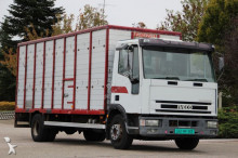 Iveco cattle truck