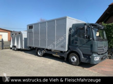 Mercedes livestock truck