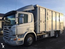 Scania P 310