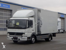 camion furgone usato