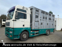 MAN livestock truck