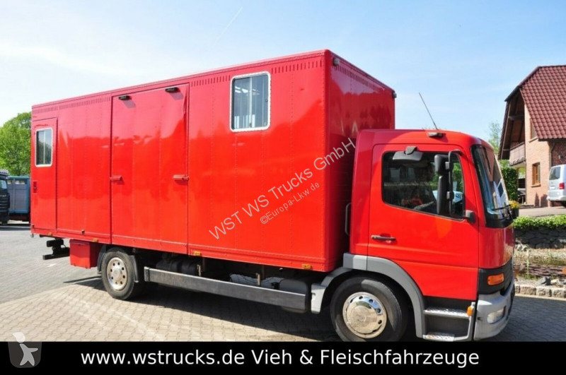 camion van occasion