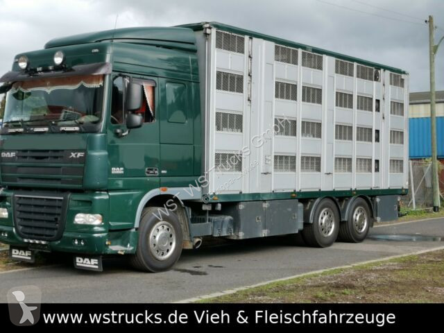 van de chevaux occasion