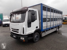 Iveco Eurocargo